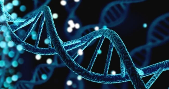 Bu sirr də açılmağa başlayır