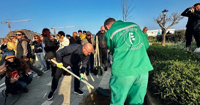 Как растет гранатовый бульвар в Sea Breeze ФОТО