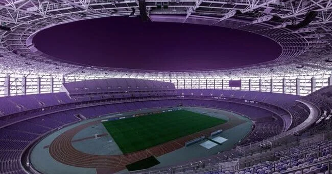 “Nəyə görə sadəcə stadion yaşıl görünsün, insanlara xoş gəlsin deyə büdcəni boş boşuna xərcləyək”
