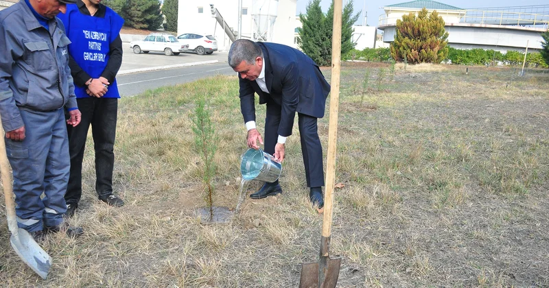 Ağstafa rayonunda ağacəkmə aksiyası keçirilib