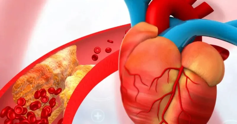 Duz, alkoloq, qəhvəni eyni vaxtda qəbul etmək olmaz Damarlar dözməyəcək