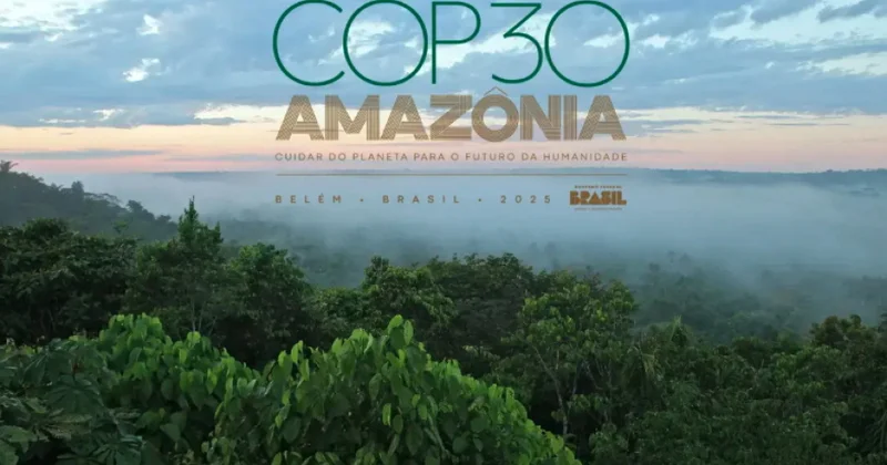 COP30 un fəaliyyət mərhələsi mahiyyətcə COP29 un yaratdığı siyasi və maliyyə arxitekturasının praktik tətbiqidir ŞƏRH