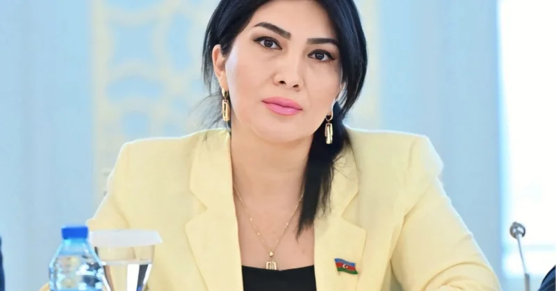 Elnarə Akimova: Ana dilini qorumaq həm mədəni mübarizə, həm də milli mövqe tələb edir