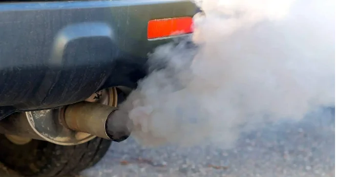 Qarajda avtomobildən 4 gəncin meyiti tapıldı 2 kişi, 2 qadın, spirtli içki... FOTO