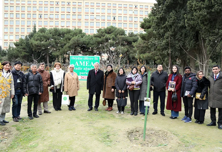 Beynəlxalq konfransın iştirakçıları AMEAnın Nadir ağaclar parkında ağacəkmə aksiyasında iştirak ediblər AZƏRTAC