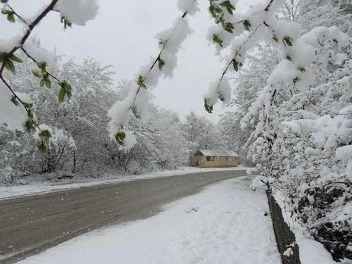 Sabah qar yağacaq Hava proqnozu