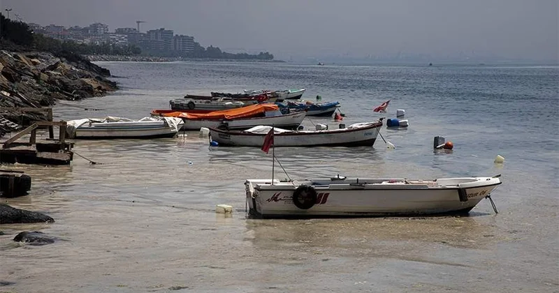 У берегов Турции внезапно отступило на 20 метров Мраморное море