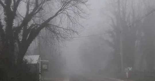 Çirkli havaya görə evdən işləyəcəklər