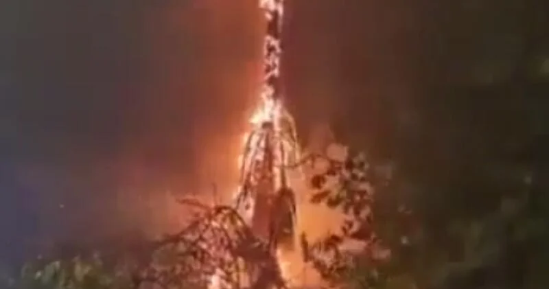 Молния испепелила дерево в Испании ВИДЕО