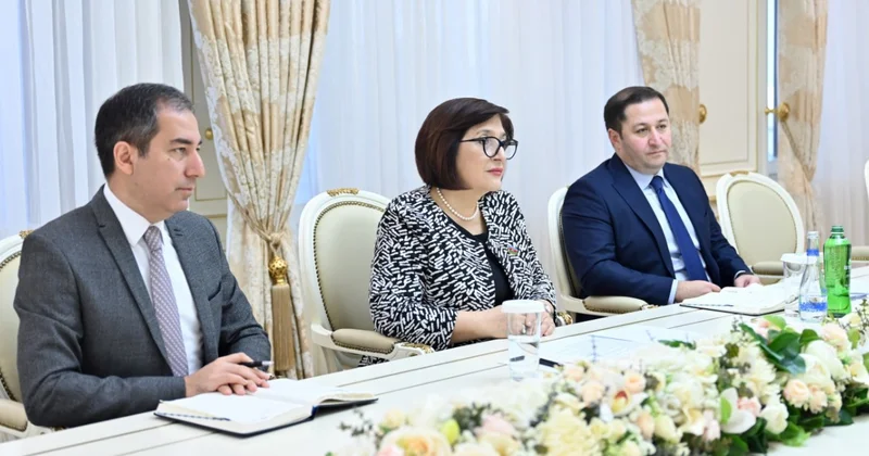 Баку и Каир делают ставку на парламентскую дипломатию Minval Politika