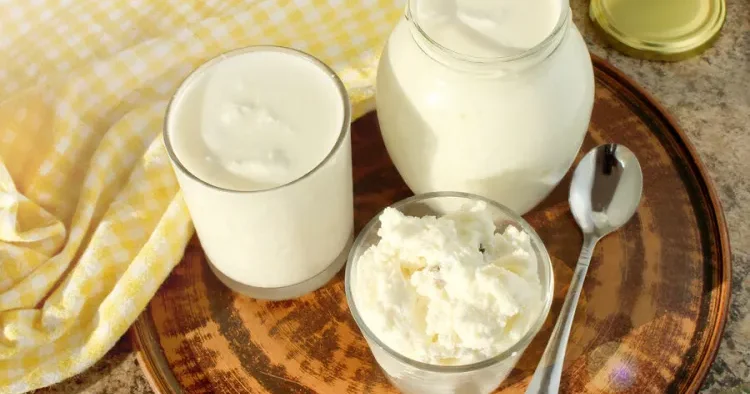 Kefirdə olan bakteriya immun sisteminin qocalmasını ləngidir
