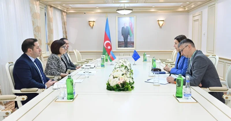 Сахиба Гафарова обсудила с главой делегации ЕС в Азербайджане мирный процесс с Арменией ФОТО