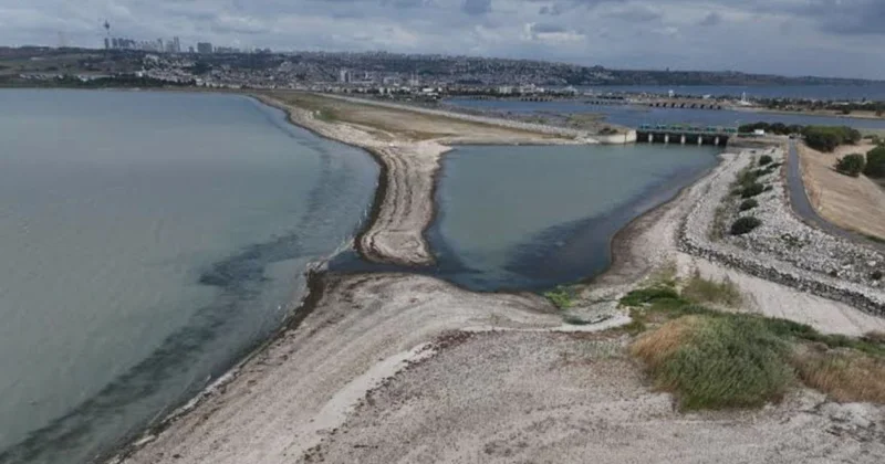 Xəzər dənizində su səviyyəsinin azalmasının səbəbləri nələrdir ? ARAŞDIRMA