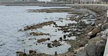 Xəzəri Aral və Urmiyanın taleyi gözləyir? Ekspert