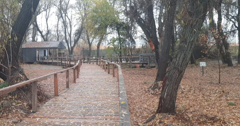 Zəngilanda inşaat qalıqlarından istifadə edilməklə istirahət məkanı yaradılıb FOTO