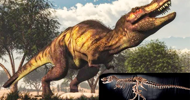 İtaliyanın şimalında 200 milyon il öncə yaşamış dinozorlara aid minlərlə ayaq izi tapılıb