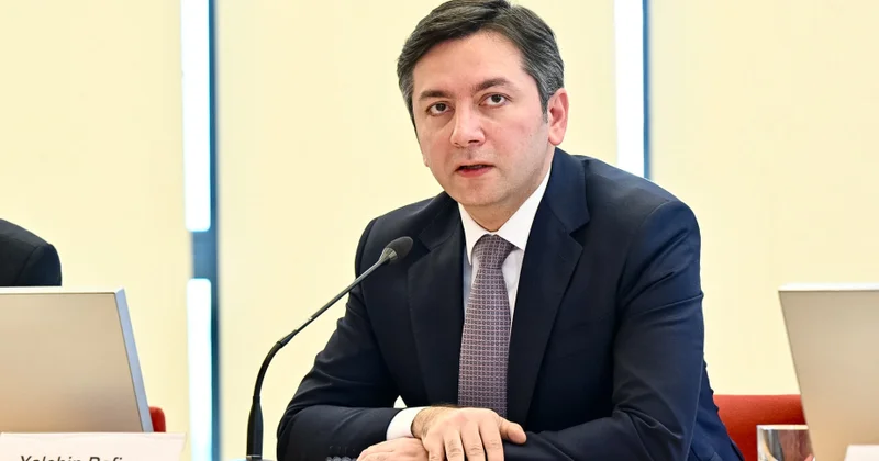 COP29 un baş danışıqçısı: Azərbaycan konstruktiv mövqe sərgiləyən sədr kimi çıxış edib