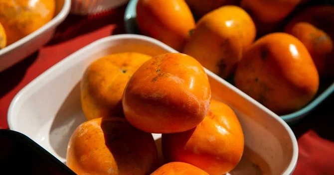 Həkim dəmirlə ən zəngin qidaları açıqladı