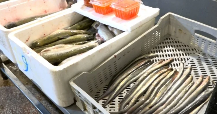 Balıq kürüsü satışında nöqsanlar aşkarlanıb