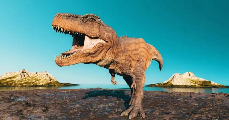 Minlərlə dinozavrın ayaq izi tapıldı: 200 milyon ildən çox yaşı var FOTO