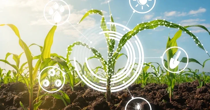 Новая эра сельского хозяйства: азербайджанские аграрии осваивают маркетинг и инновации