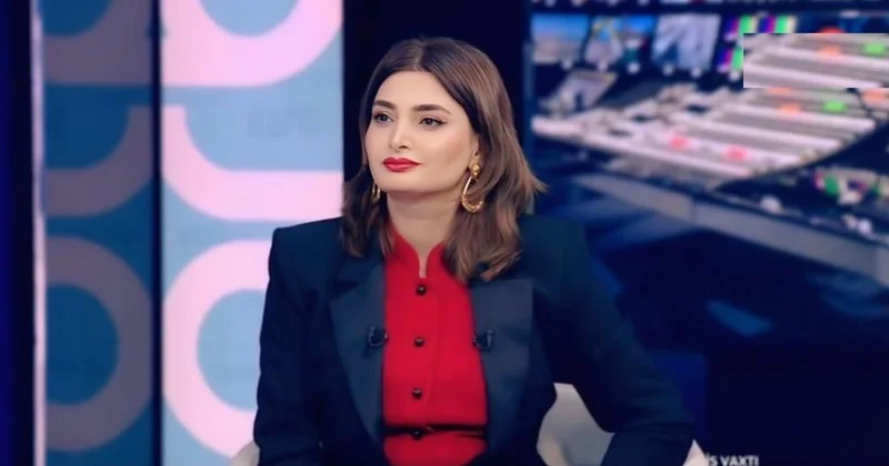 “Bu ritorikanın aktivləşməsi təsadüfi deyil”