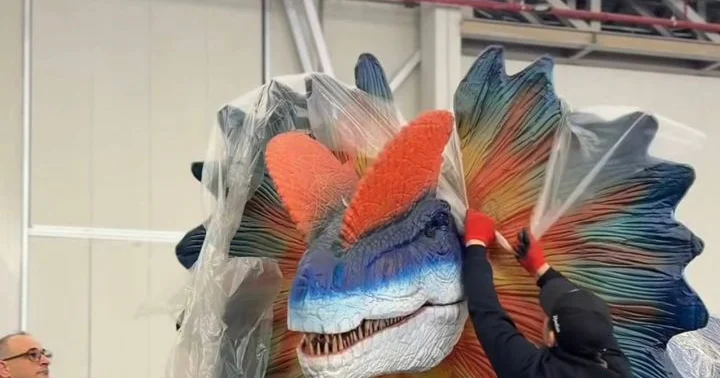 Dino Park : 3 və daha çox uşağı olan ailələr üçün 20% endirim tətbiq olunacaq