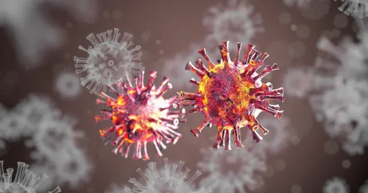 Sularda gizlənən virusların ölümcül təhlükəsi barədə xəbərdarlıq EDİLDİ