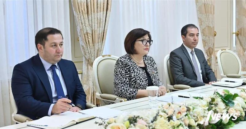 Посол ЕС назвала достижения в мирном процессе между Азербайджаном и Арменией историческими