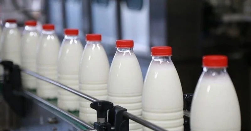 Süd məhsulu istehsal edənlərə subsidiyalar veriləcək