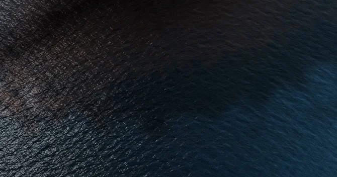 Alimlər neftin əvəzləyicisini tapıblar