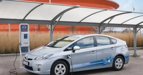 Гибриды в фаворе