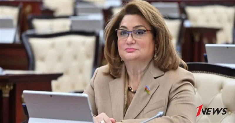 В Азербайджане обсудили возможность создания Алиментного фонда