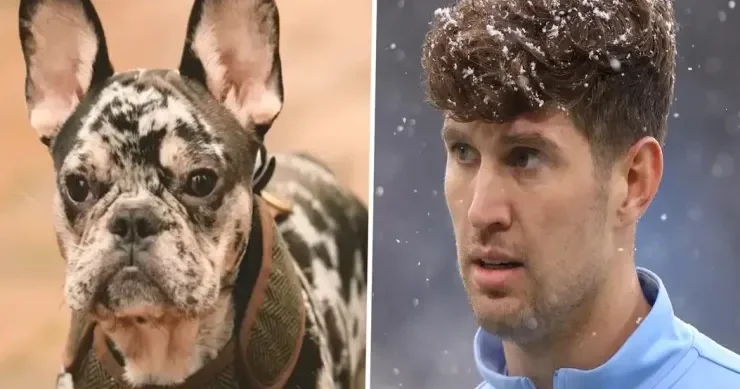 Bernardo Silva itinə komanda yoldaşının adını verdi