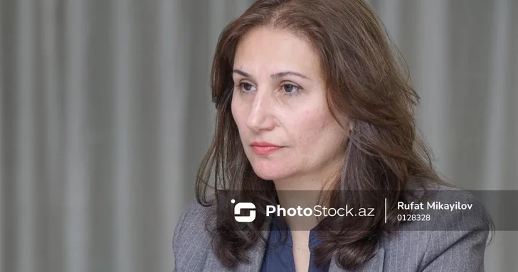 В Милли Меджлисе предложили конкретизировать понятие дискриминации работников