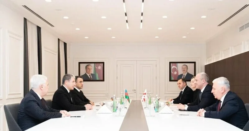 Vilayət Eyvazov Gürcüstan daxili işlər nazirinin müavini ilə görüşdü