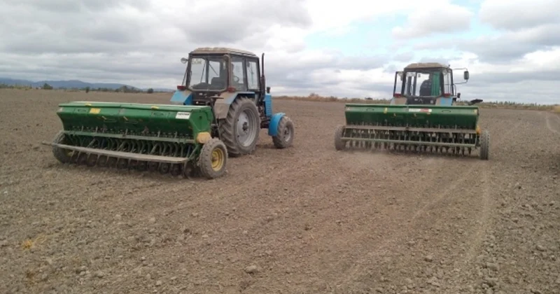 Beyləqanda taxıl səpini davam edir