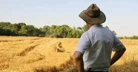 Aqrar sahibkarlar innovasiyalara açıq güclü iqtisadi subyektə çevrilib