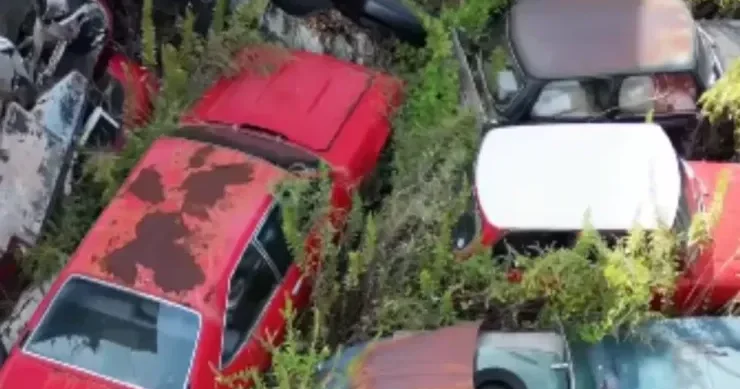 “Rolls Royce”dan “Bugatti”yə qədər: lüks avtomobillərin atıldığı avtosalon tapıldı