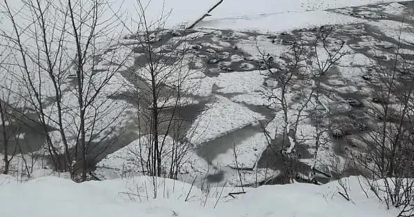 Более 200 баранов провалились под лед ВИДЕО