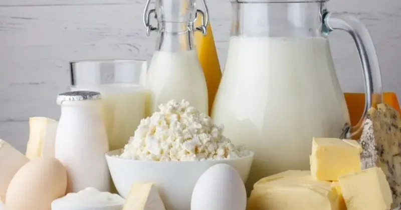 Azərbaycanda süd məhsullarının istehsalçılarına subsidiyalar veriləcək