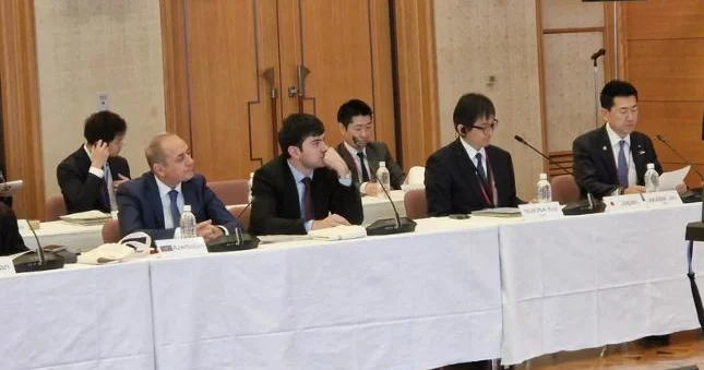 Azərbaycan Tokioda təbii fəlakət risklərinin azaldılması üzrə konfransda iştirak edir