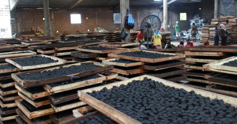 BEA: 2030 cu ilə qədər kömür istehsalı azalacaq