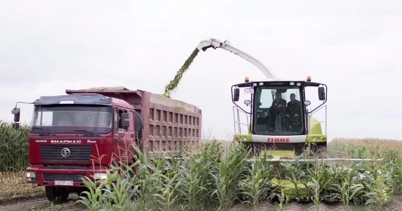 Aqrar məzunlar kəndlərdə təcrübə keçsin TƏKLİF