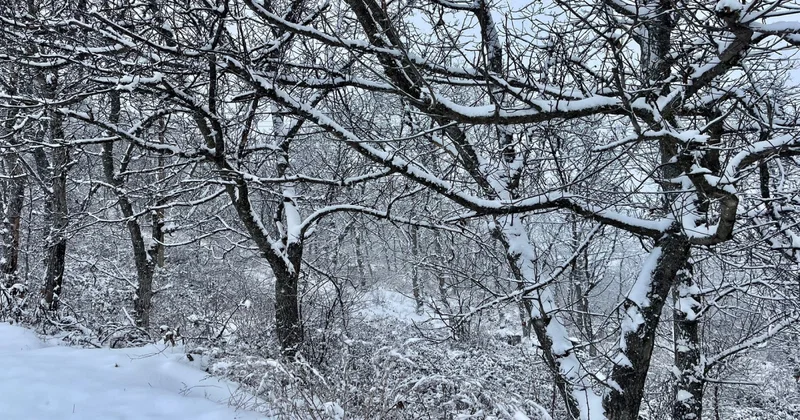 Havanın kəskin dəyişməsi sağlamlıq üçün təhlükə yaradır