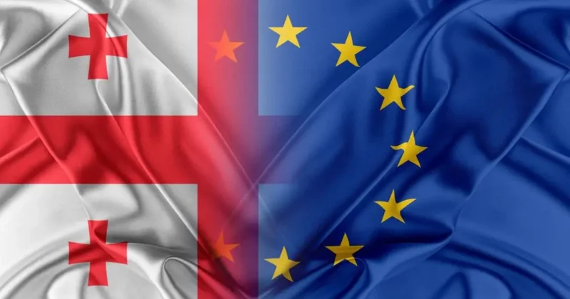 Gürcüstan Aİ nin bu tövsiyələrini yerinə yetirmirmiş