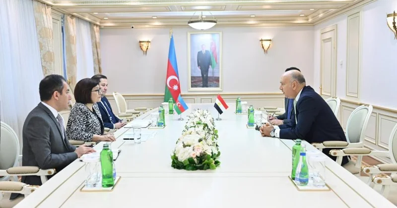 Sahibə Qafarova Misirin ölkəmizdəki səfiri ilə görüşüb