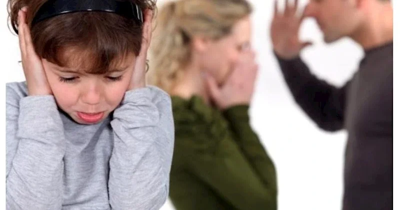 Sosioloq: Məşğulluq yoxdursa, zorakılıq artar