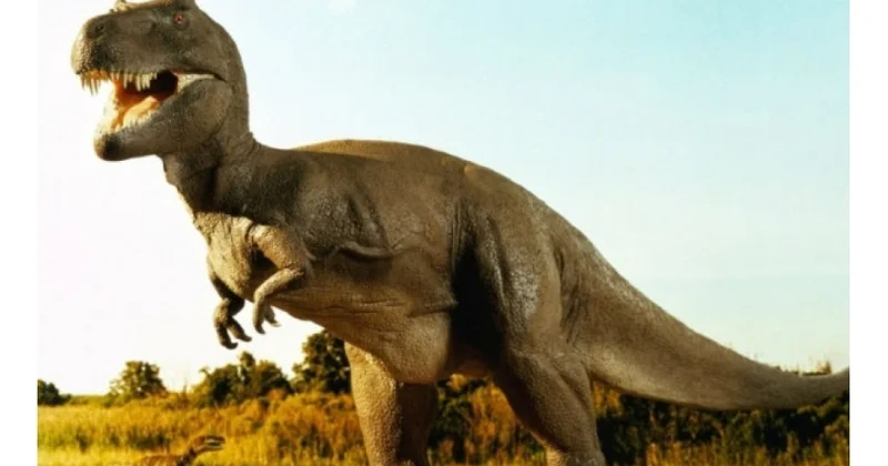 Nadir eksponat ilk dəfə nümayiş olunacaq