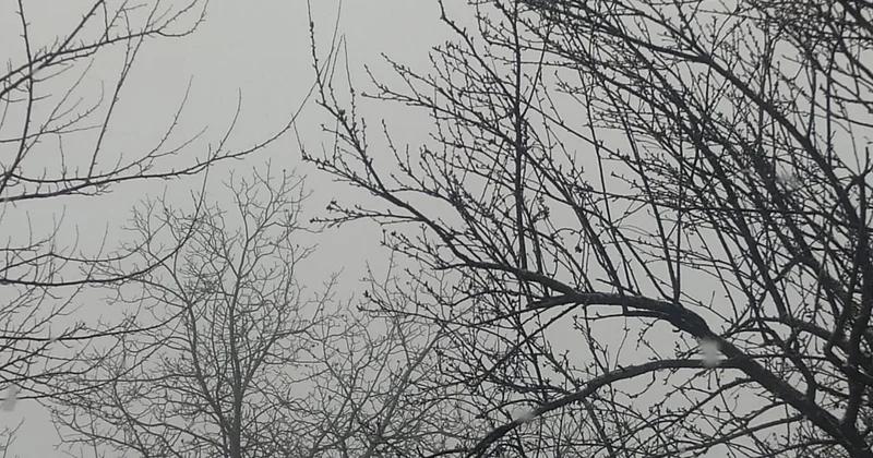 Bu bölgəmizə də qar yağır FOTO/VİDEO